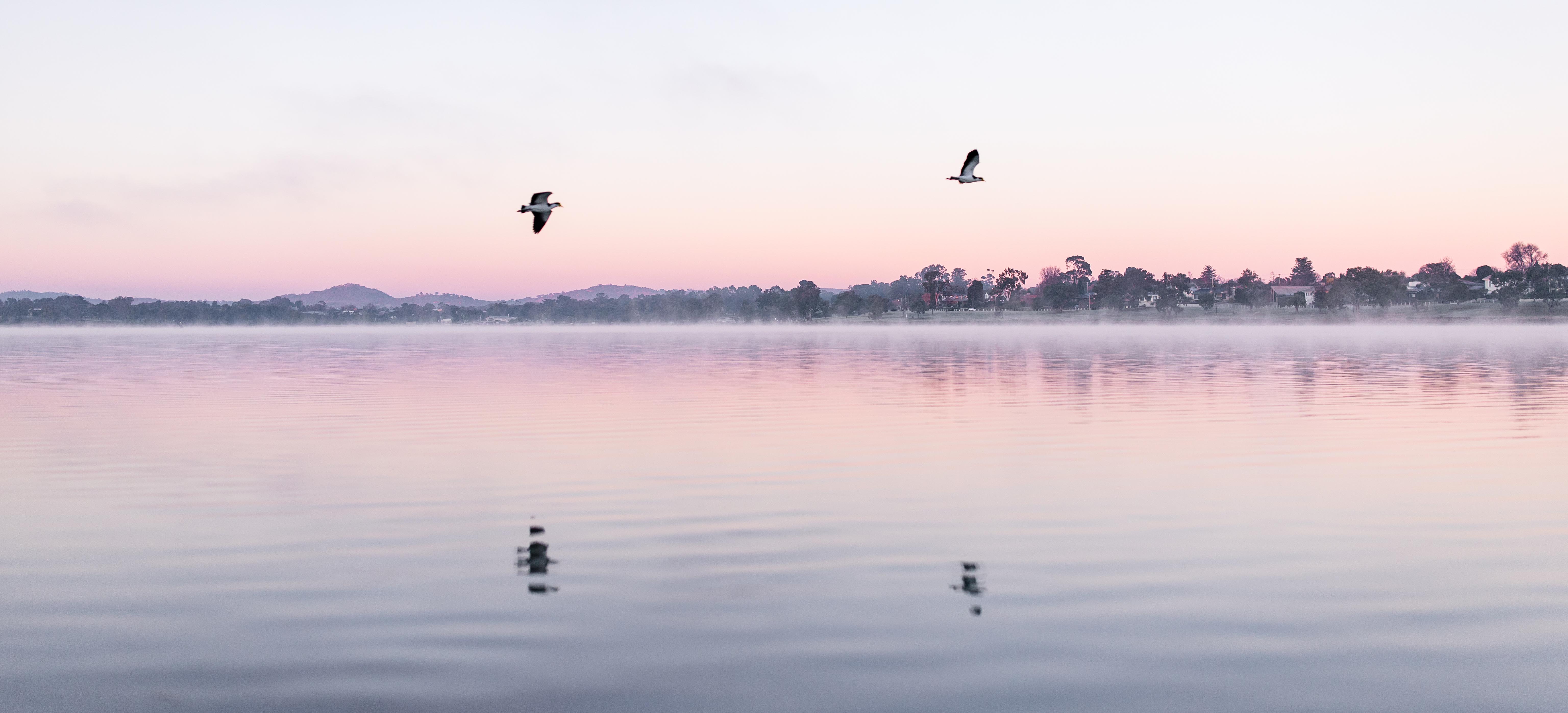 Early morning over Lake Albert in Wagga Wagga