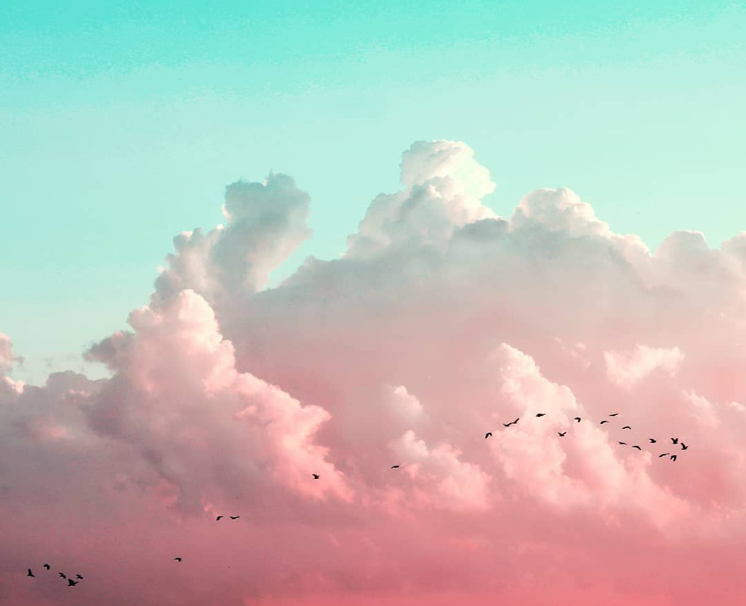 Wagga Sky with clouds and birds 