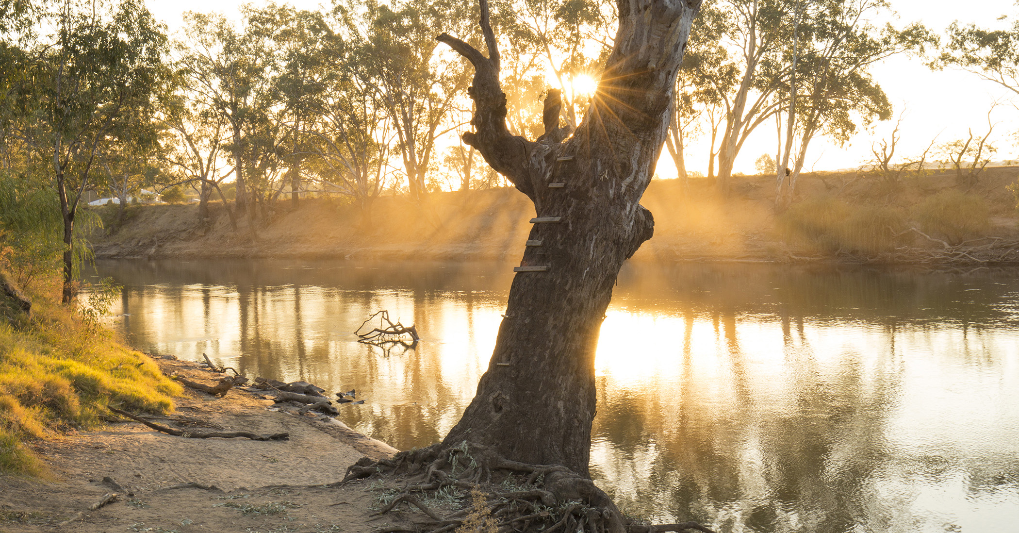 Murrumbidgee River at Wagga Wagga 