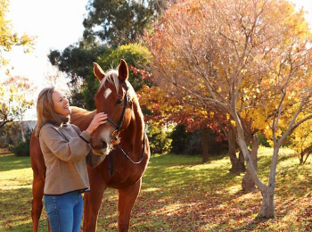 Owner of Belisi with a horse on the property