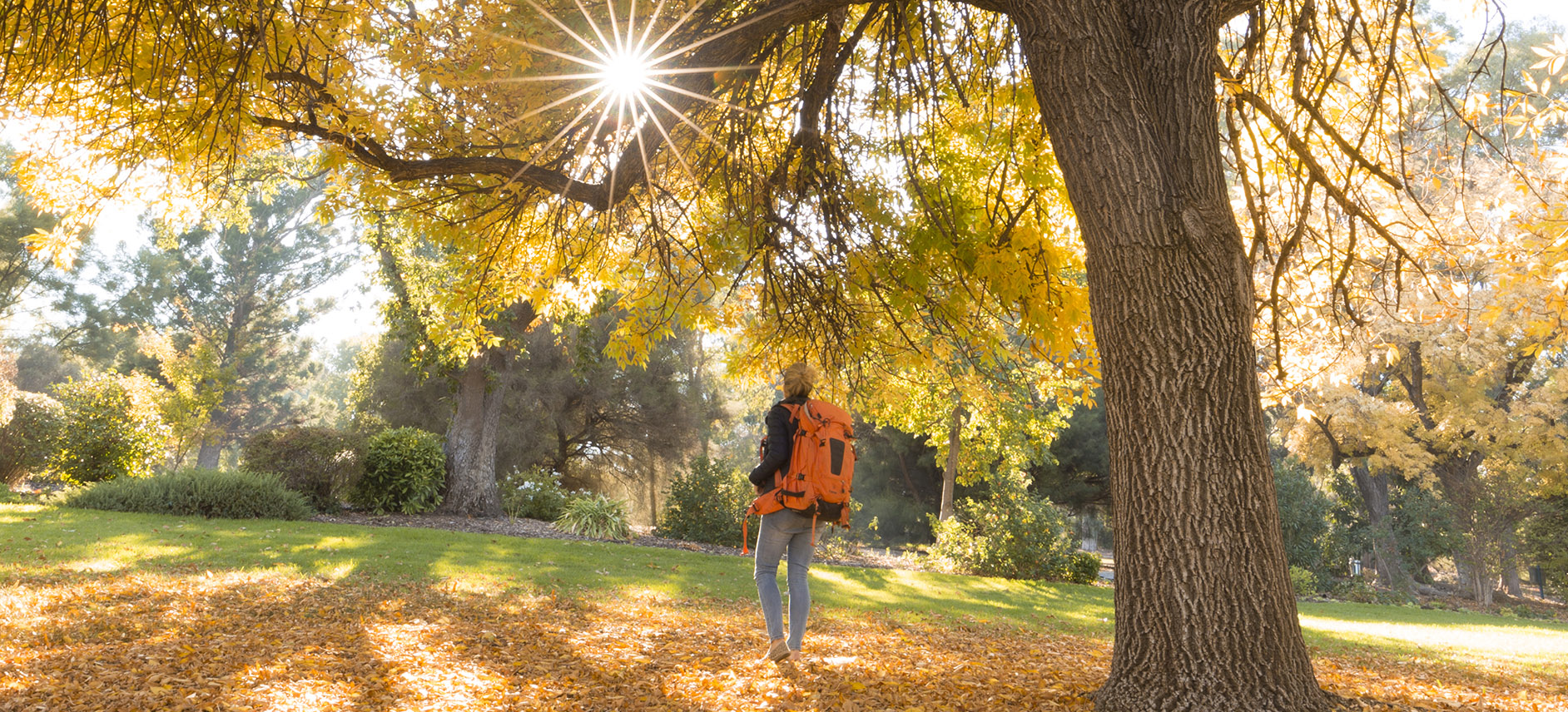 Botanic Gardens in Wagga Wagga in Autumn 