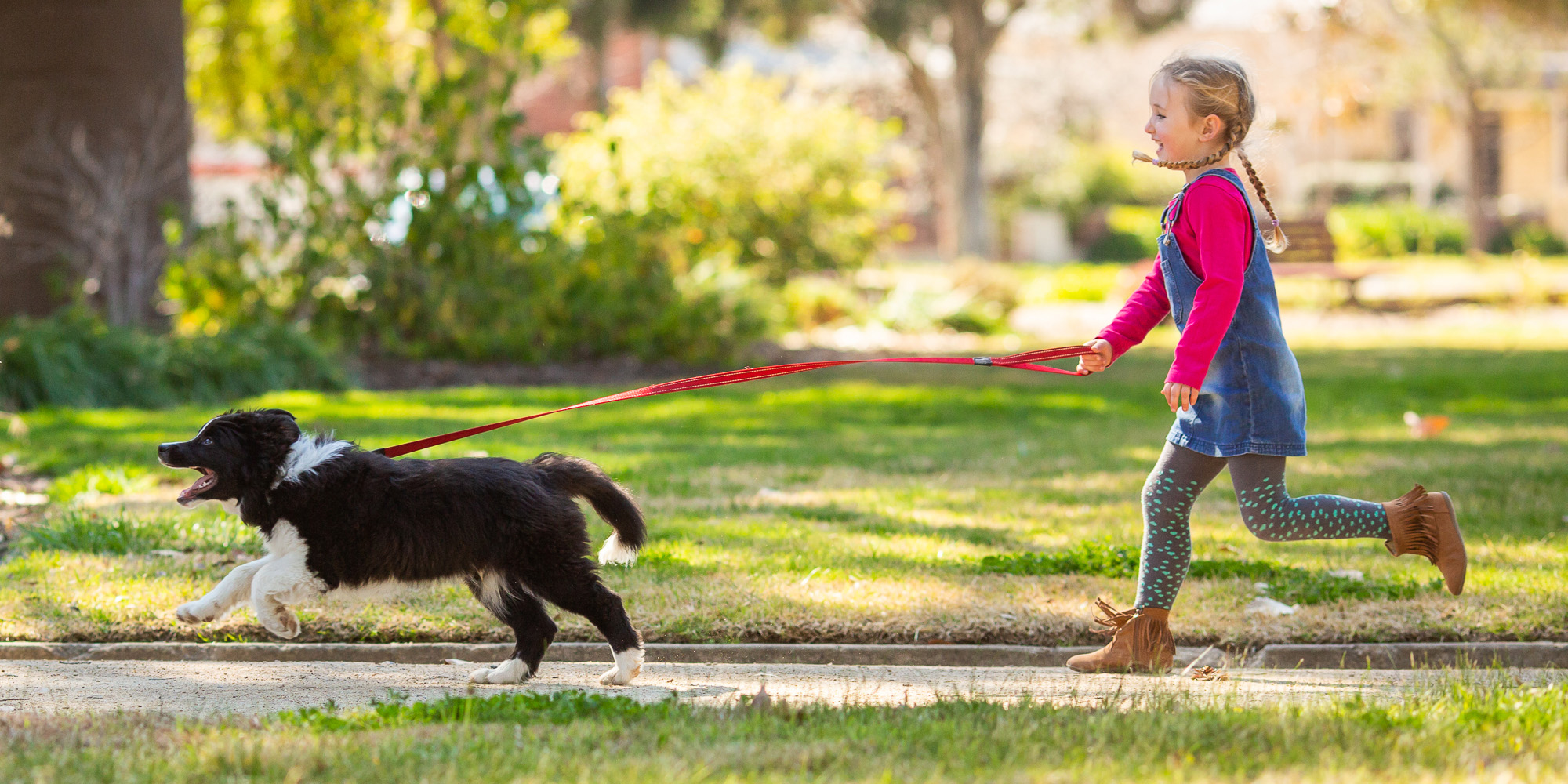 Dog Friendly Wagga