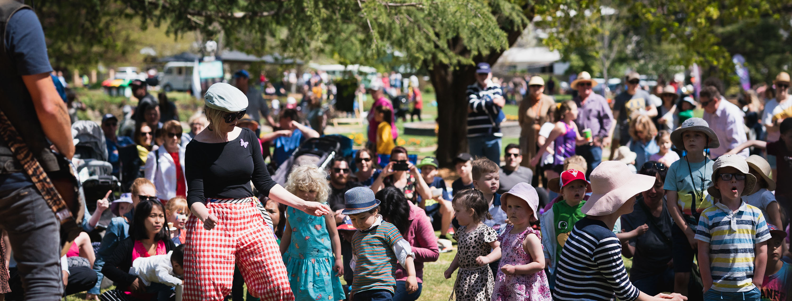 Crowds at the Spring Jam family festival in Wagga Wagga