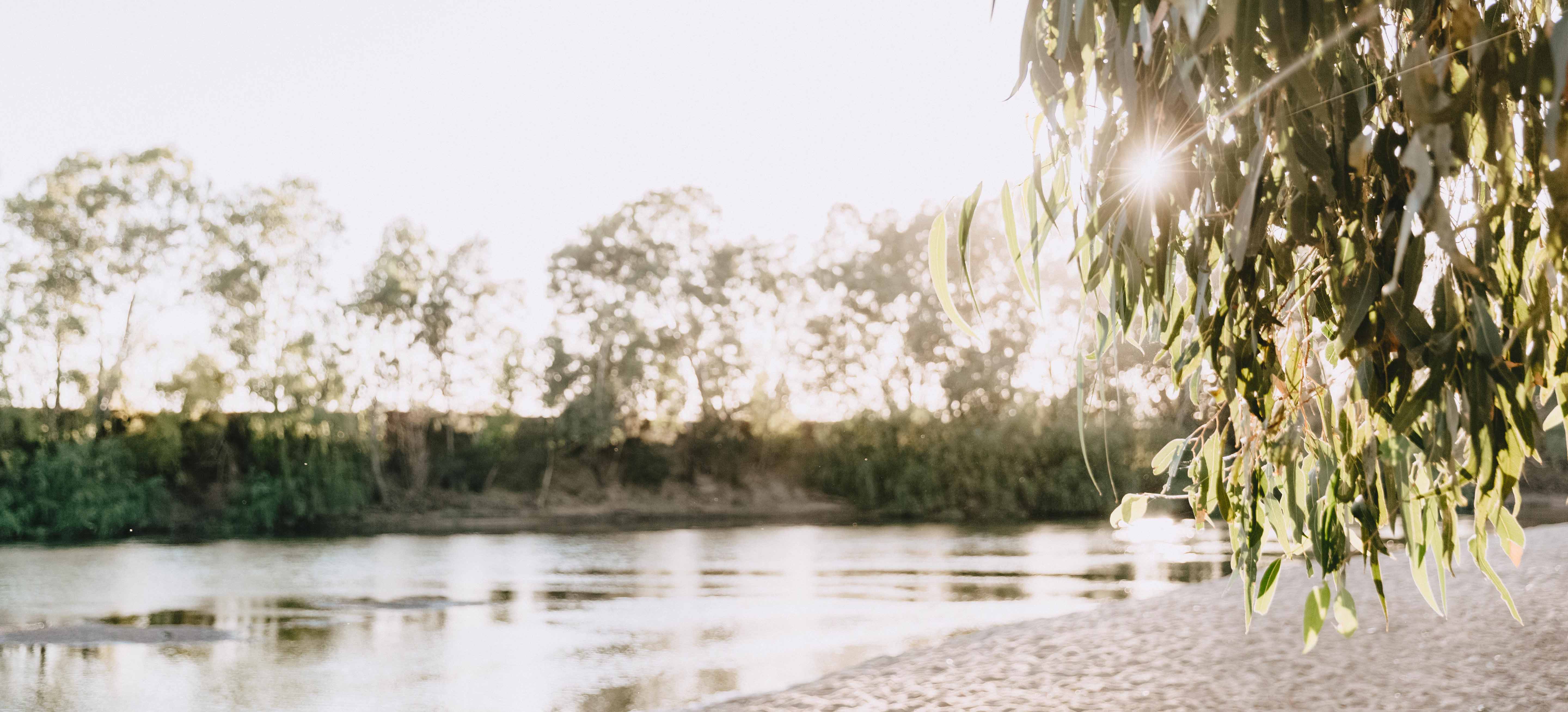 Gum trees, sand and water in the Murrumbidgee River at Wagga Beach