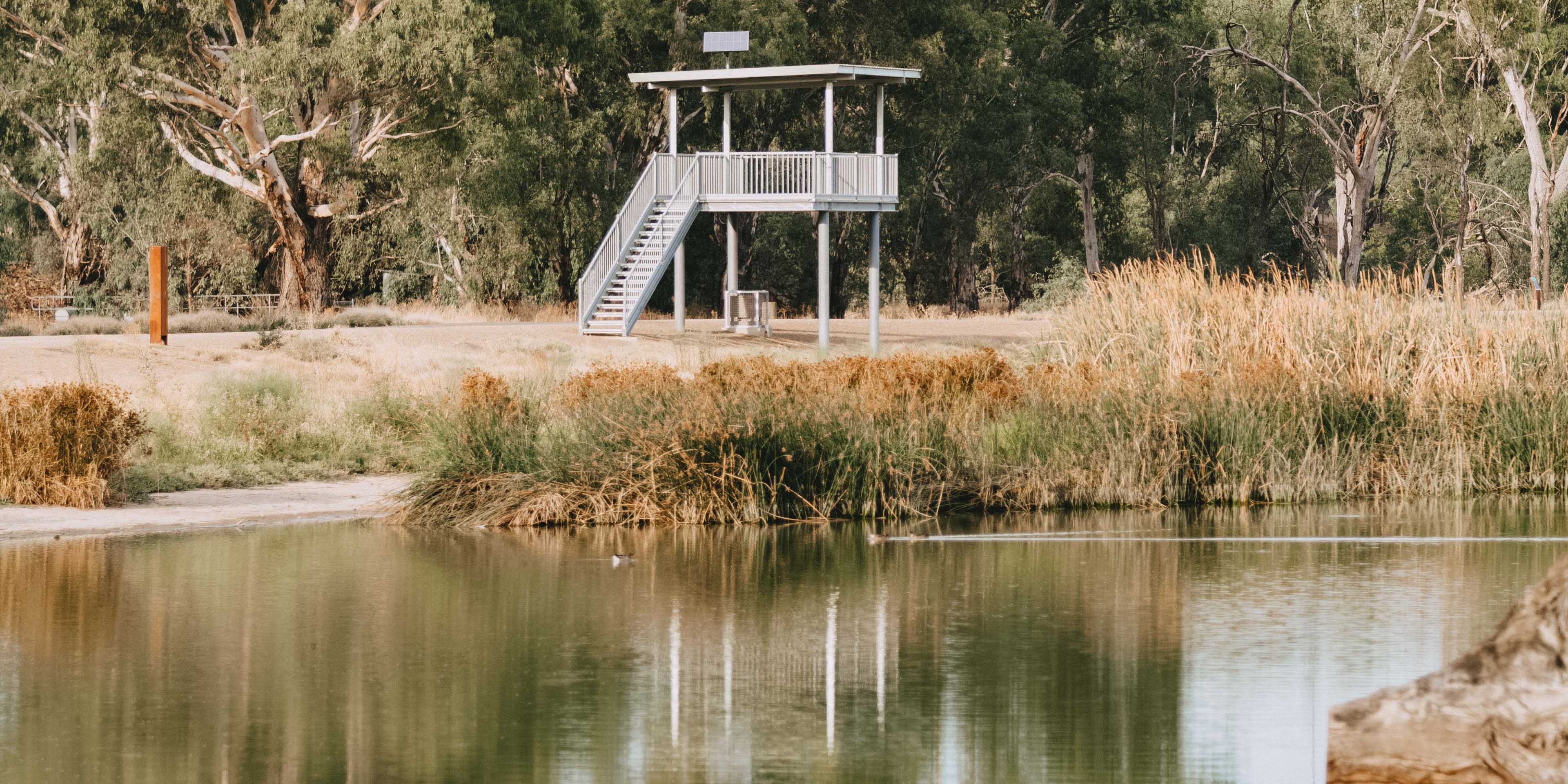 Viewing platform and water ponds at Marrambidya Wetland in Wagga Wagga 