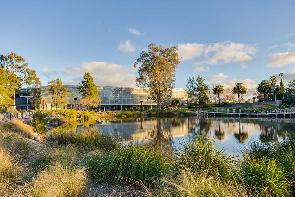 Overlooking the Wollundry Lagoon in Wagga's Civic Centre Precinct