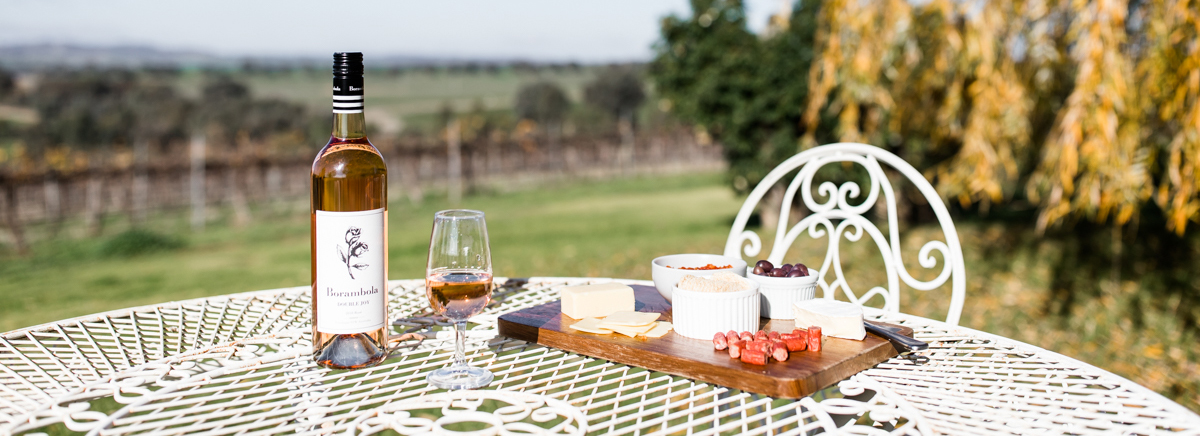 Wine and cheese platter on a table on a sunny day