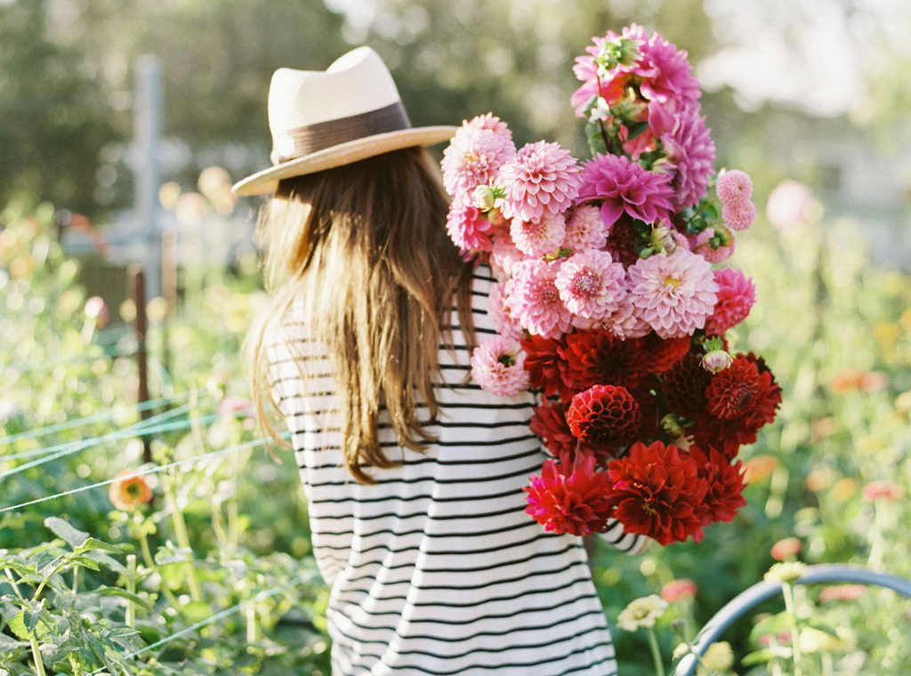 Owner of Little Triffids Sophie walking in the flower farm with a large pile of flowers over her shoulder