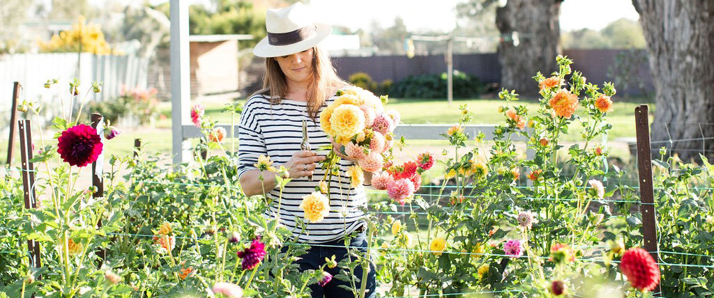 Owner of Little Triffids Sophie in the flower farm tending to some blooms 