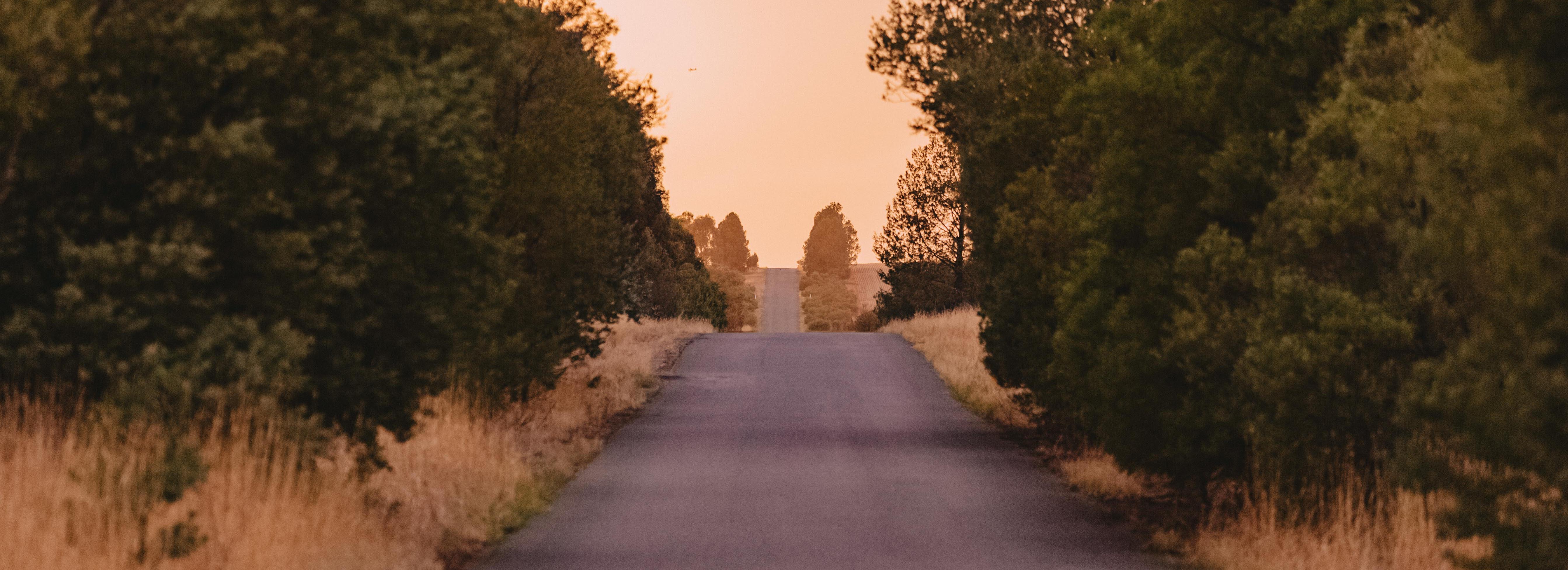 Regional road and landscape in Wagga Wagga 