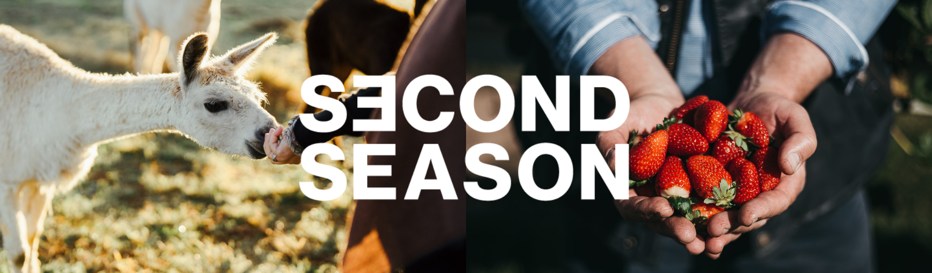 Second Season