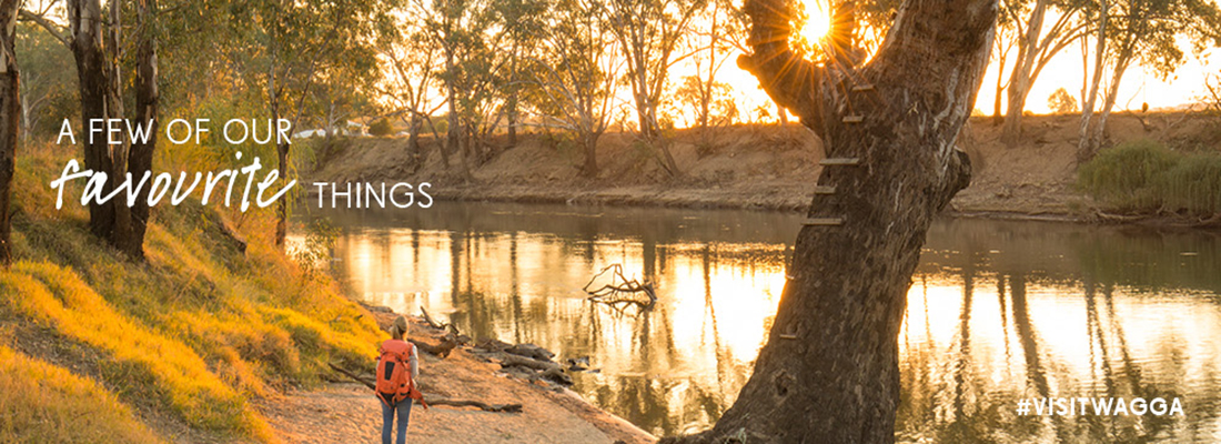 Murrumbidgee River at Wagga Wagga 