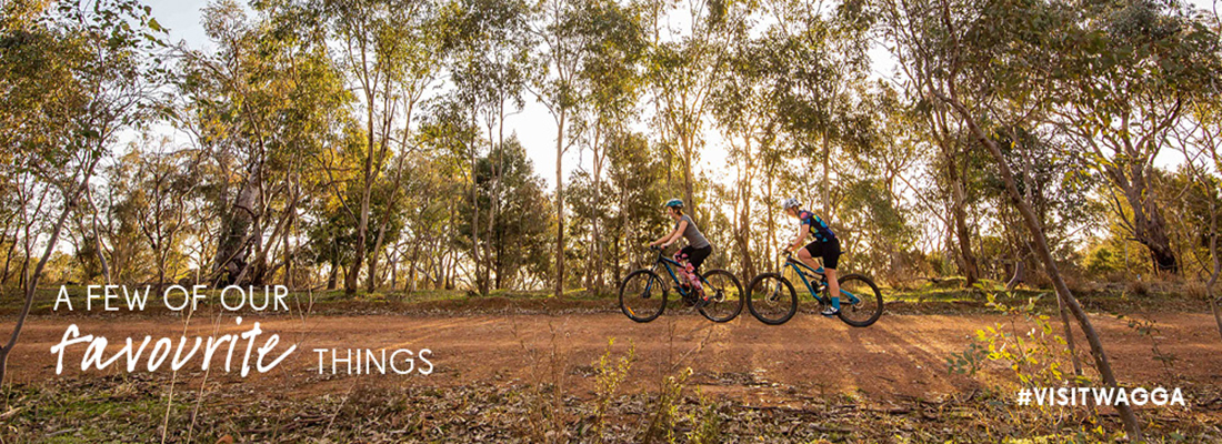 Cycling in Wagga Wagga 