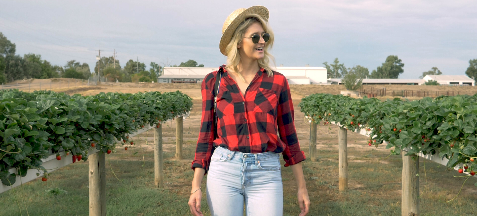 Walking down the rows of strawberries at Bidgee Strawberries and Cream